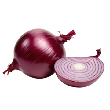 Red Onion 10KG